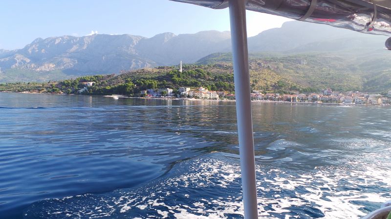 20140802_081653 (800x450).jpg