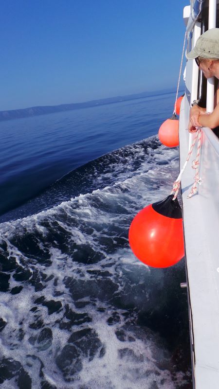 20140802_082536 (450x800).jpg