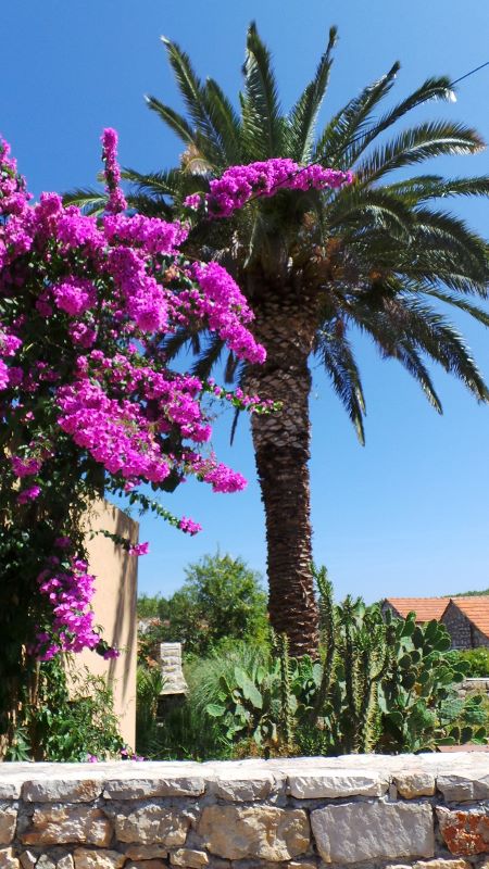 20140802_105452 (450x800).jpg