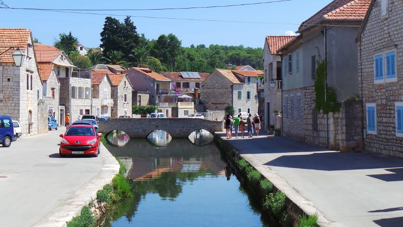 20140802_110458 (800x450).jpg