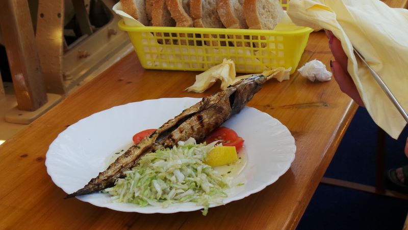 20140802_114648 (800x450).jpg