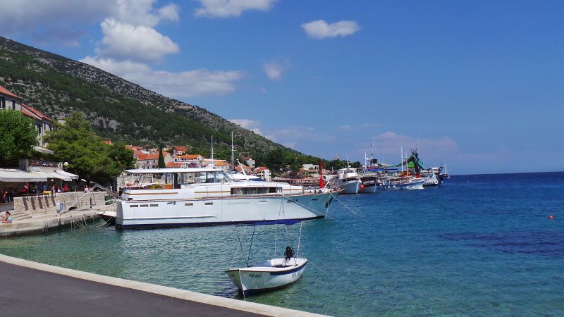 20140802_144937 (800x450).jpg