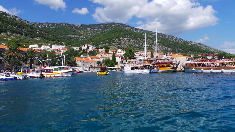 20140802_154421 (800x450).jpg