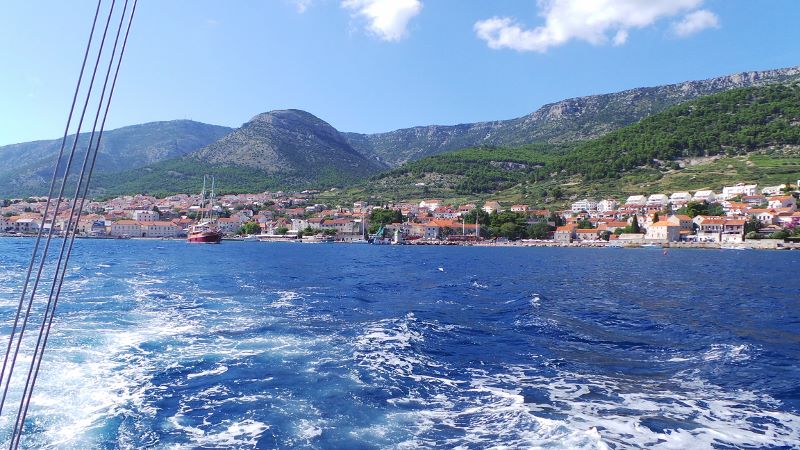 20140802_160756 (800x450).jpg