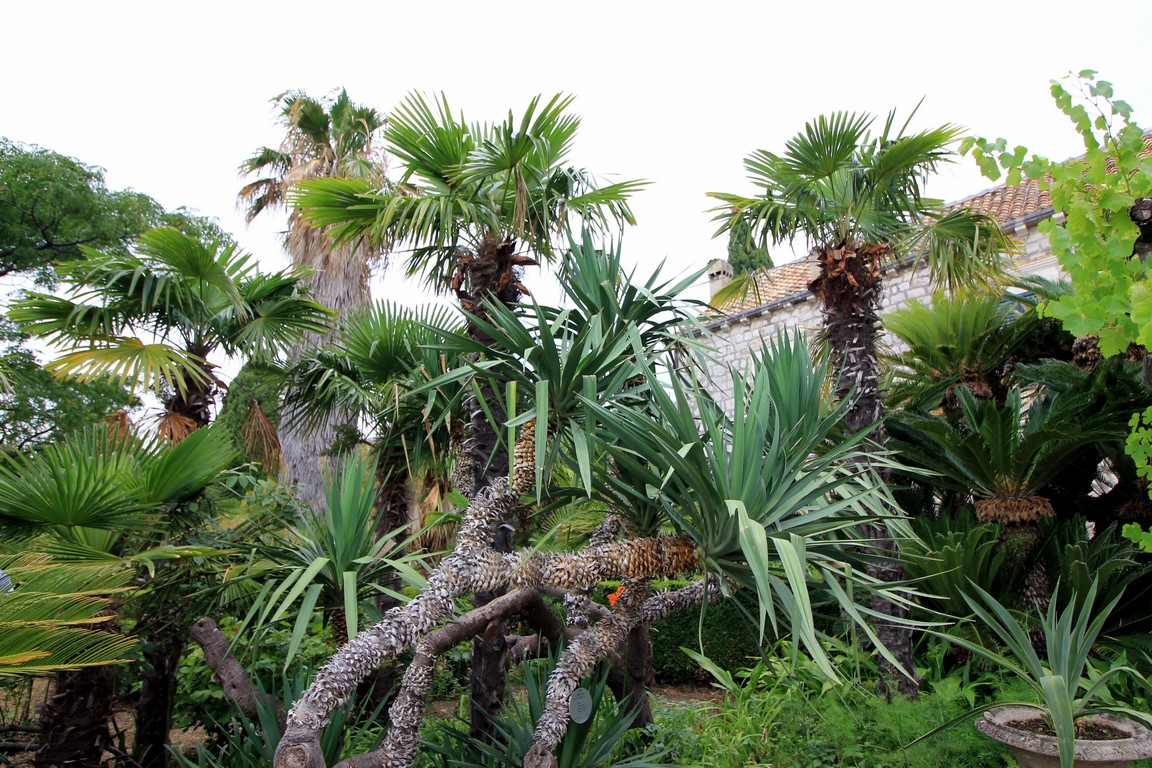 IMG_1552 (Kopiowanie).JPG