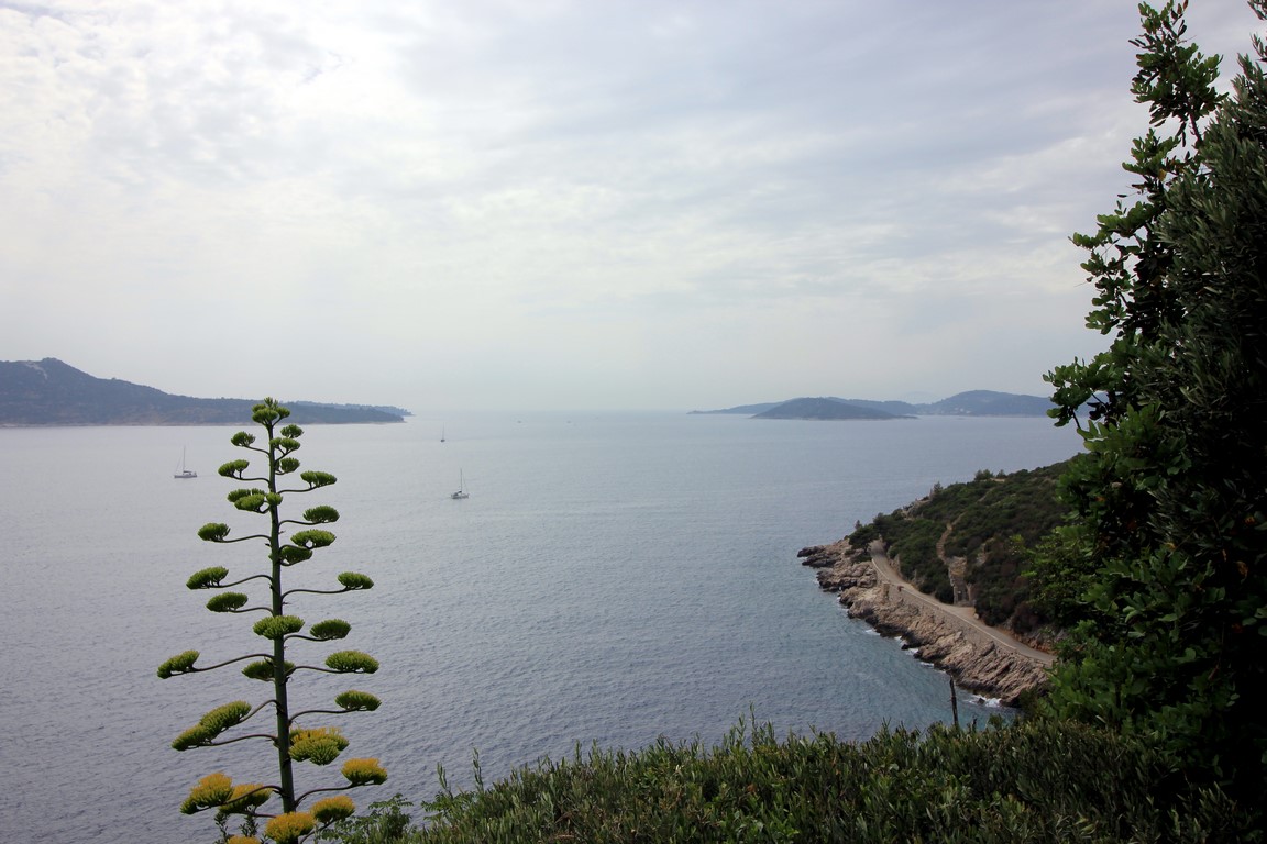 IMG_1543 (Kopiowanie).JPG