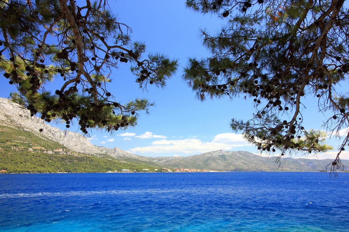 IMG_1775 (Kopiowanie).JPG