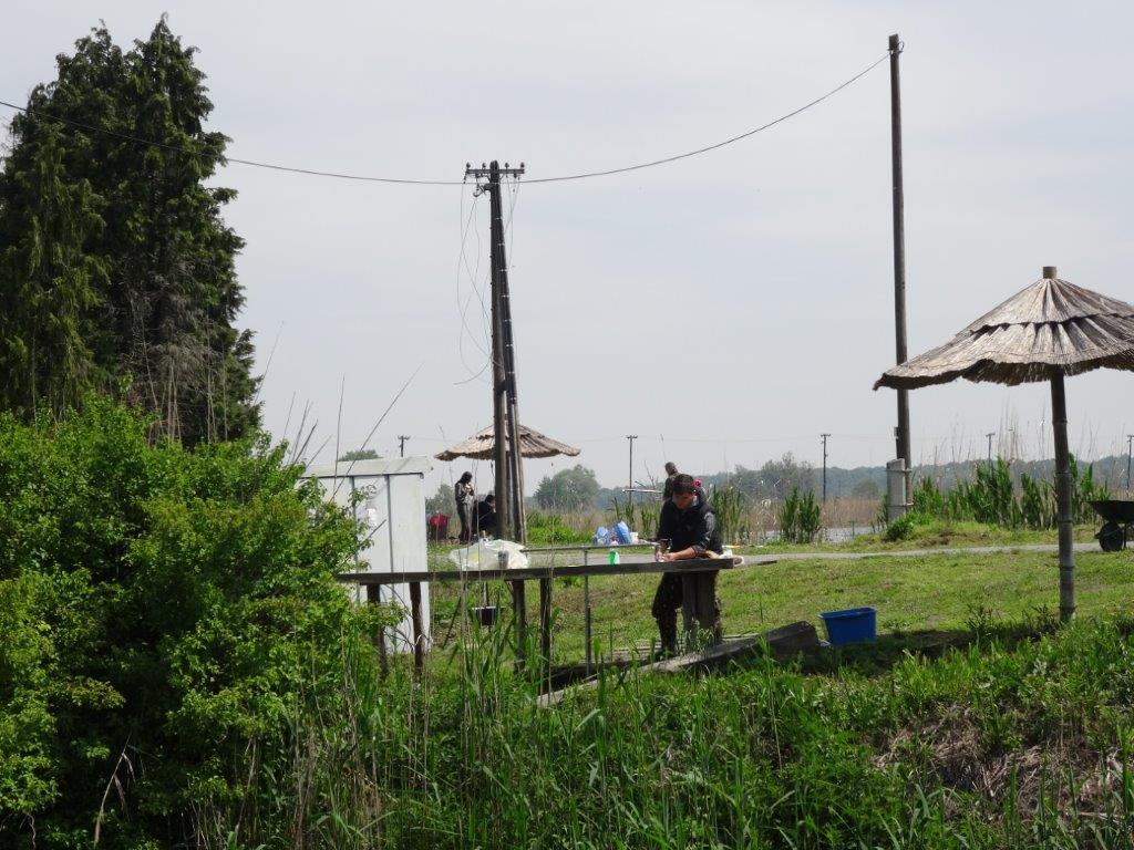 Złowione rybki można sobie oporządzic na tym stole, resztki z ryb spadają do wody i są pozywieniem dla iinych stworzeń / DSC04026.jpg DSC04026.jpg