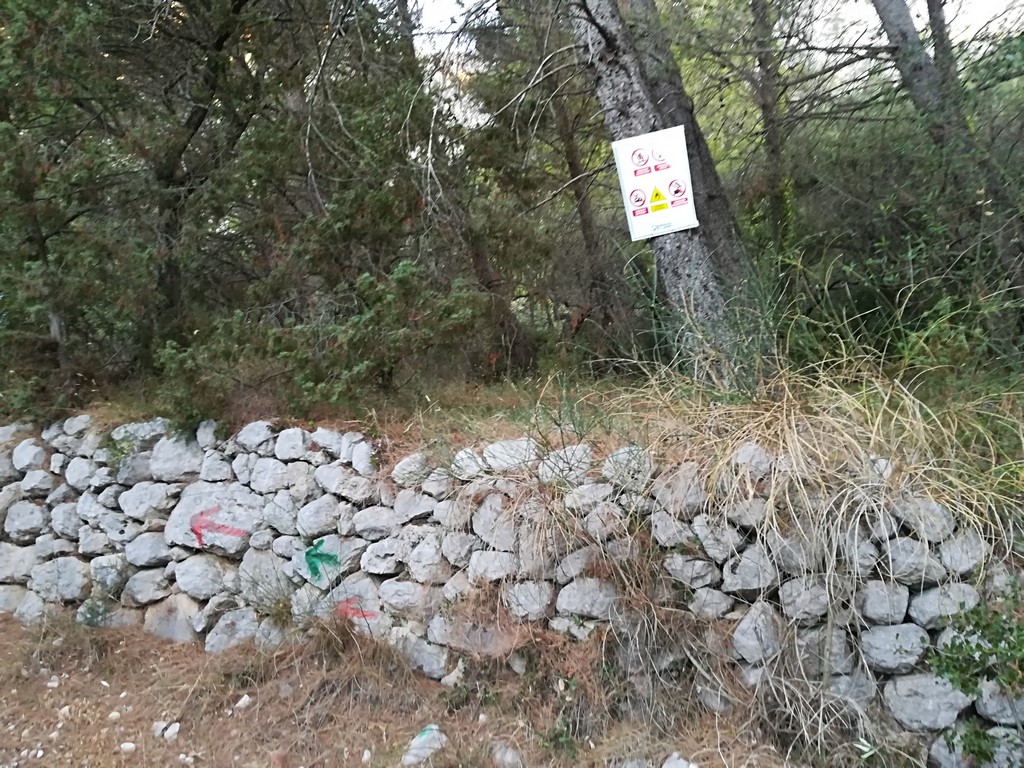 IMG_20170704_055129 (Kopiowanie).jpg