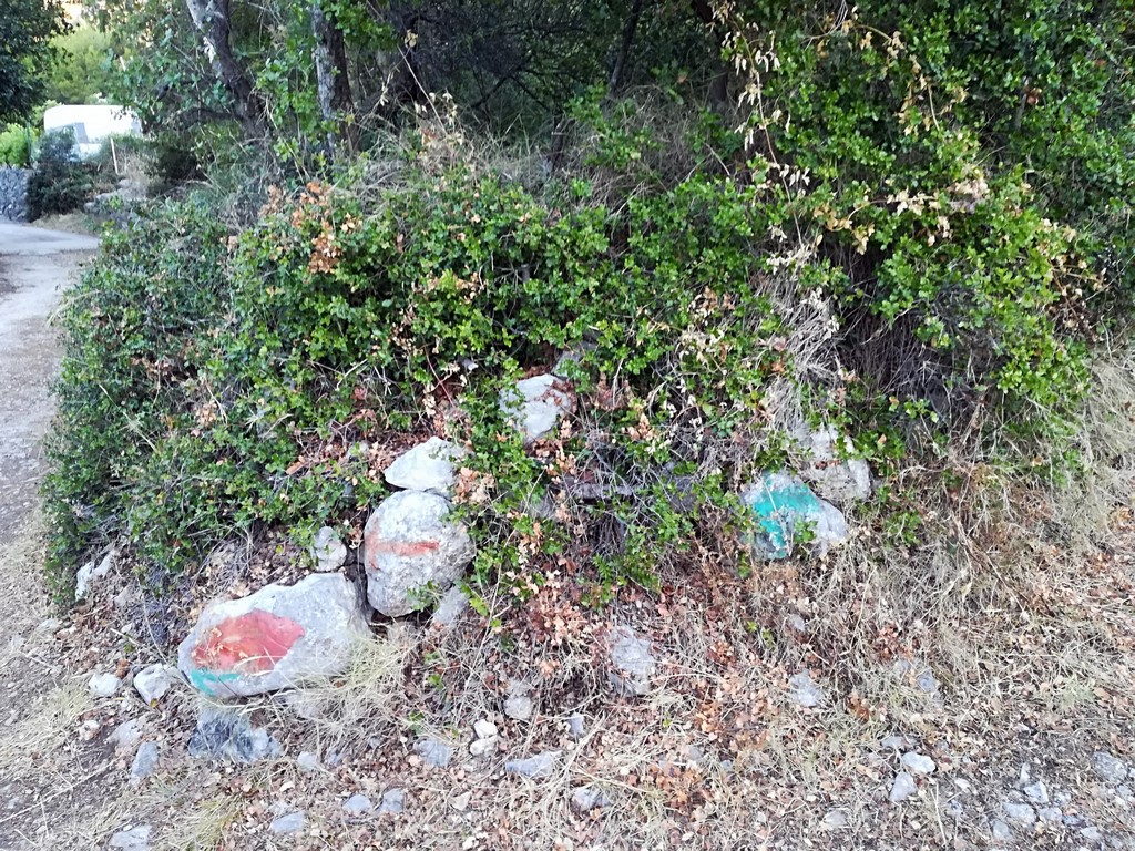 IMG_20170704_055534 (Kopiowanie).jpg