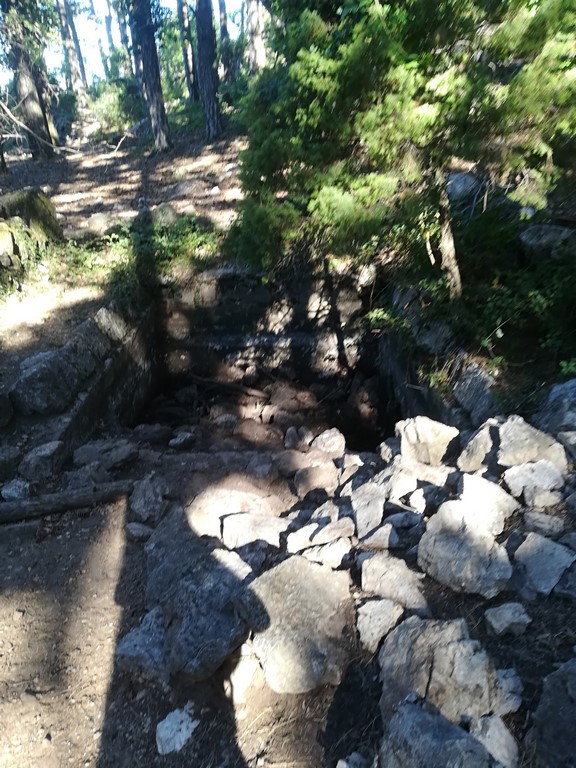 IMG_20170704_082438 (Kopiowanie).jpg