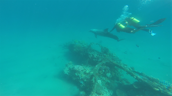 Zrzut ekranu (20).png