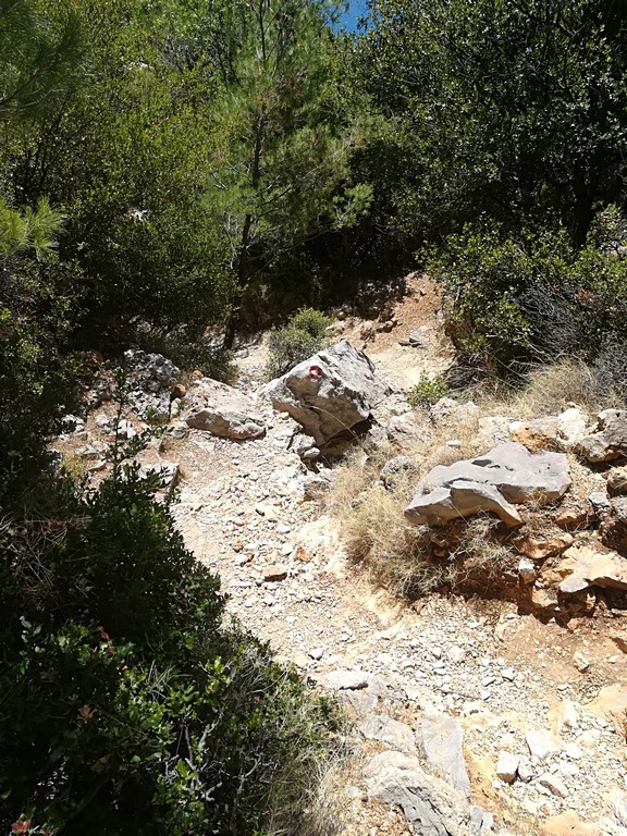 IMG_20170704_115344 (Kopiowanie).jpg