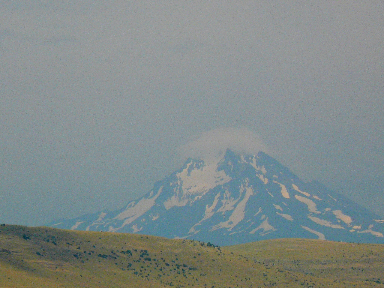 P1070434.JPG