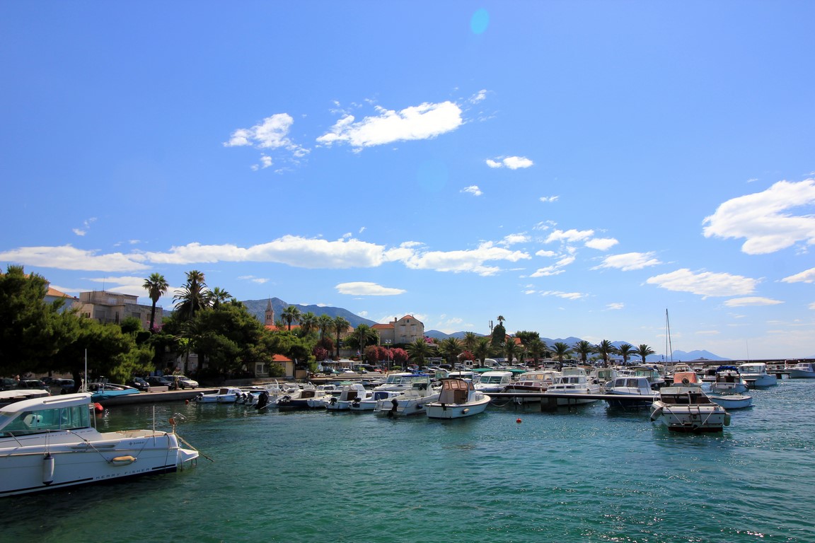 IMG_1624 (Kopiowanie).JPG