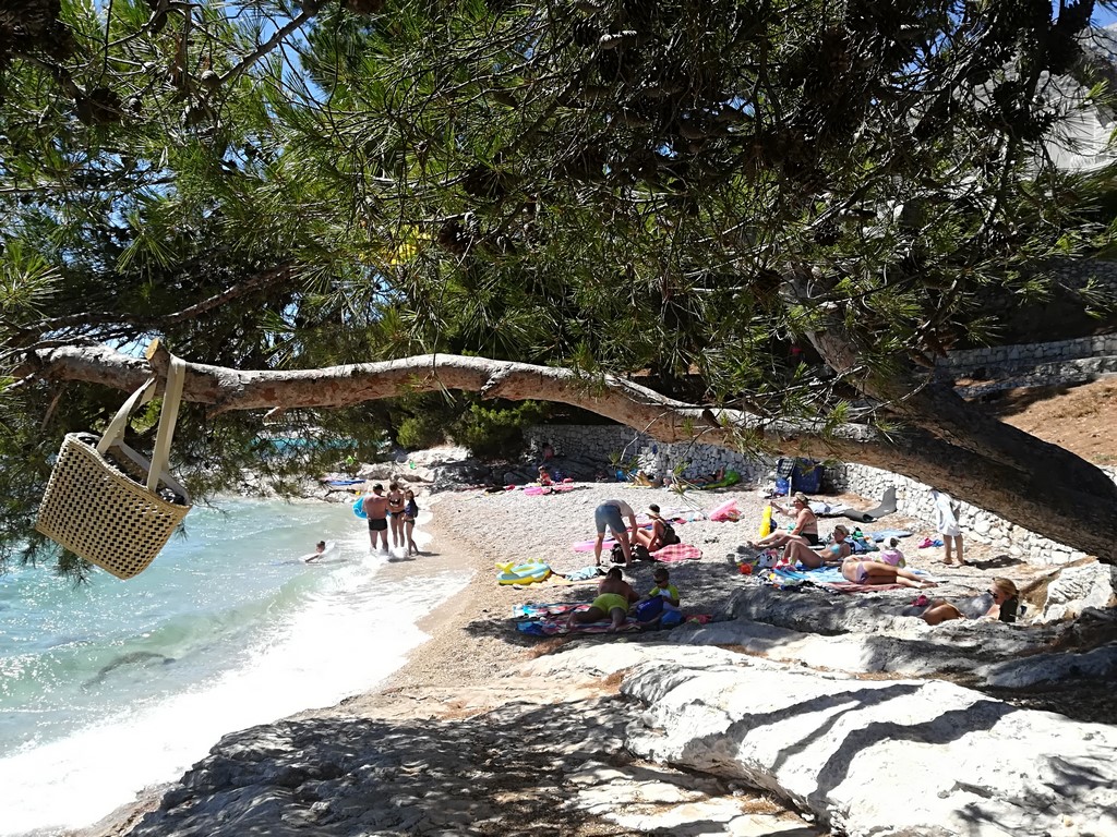 IMG_20170706_144408 (Kopiowanie).jpg