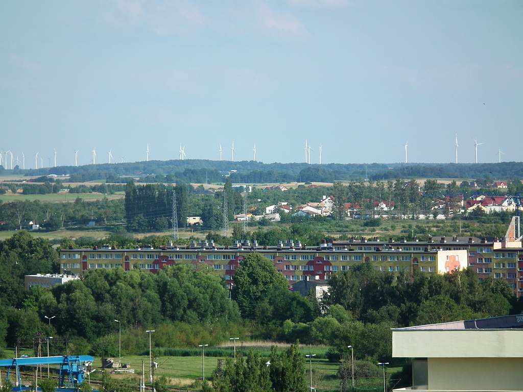 DSCF1461.jpg