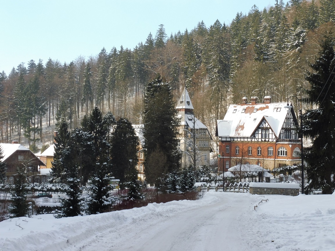 P1040598-2.jpg