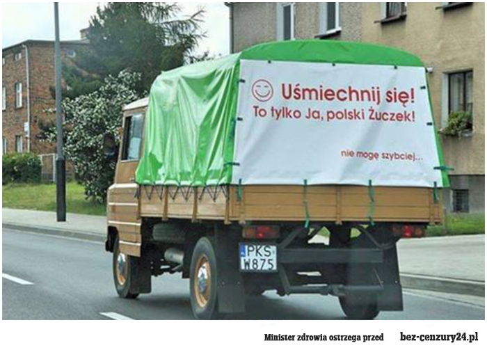 polski_zuczek_2015-06-25_17-18-14.jpg