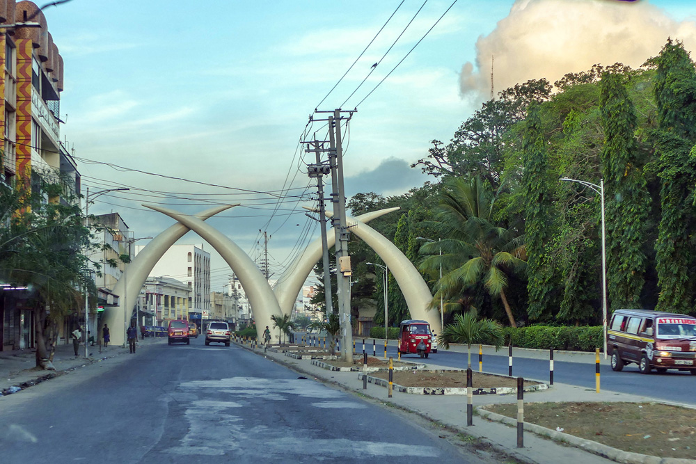 kły słonia / P1060686.jpg P1060686.jpg