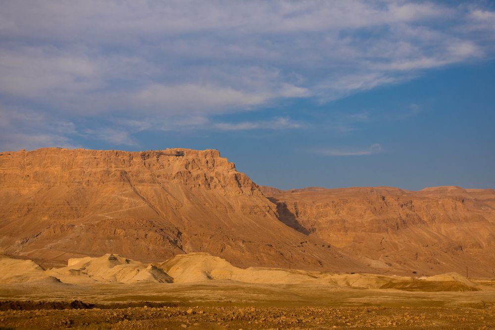 FB-1668-mart (1).jpg