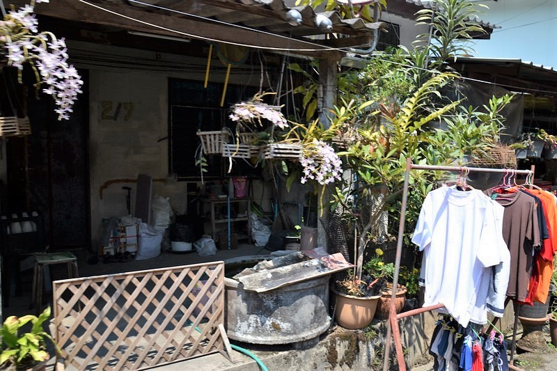 DSC_0139 (Kopiowanie).JPG