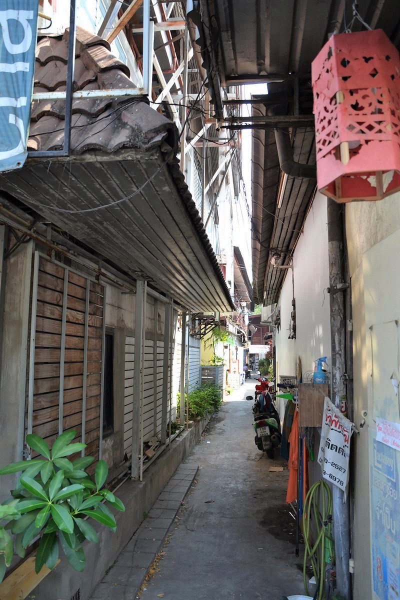 DSC_0162 (Kopiowanie).JPG