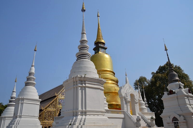 DSC_0180 (Kopiowanie).JPG