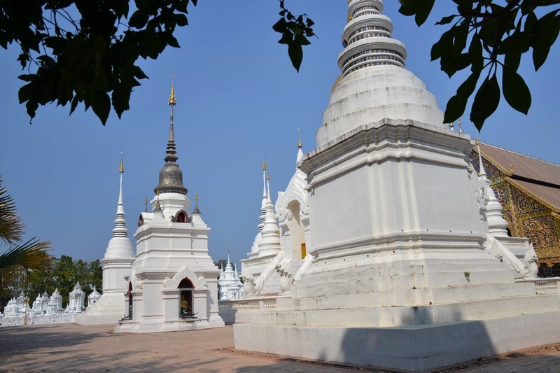 DSC_0184 (Kopiowanie).JPG