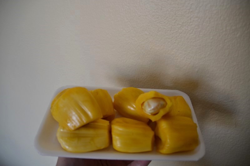 DSC_0208 (Kopiowanie).JPG