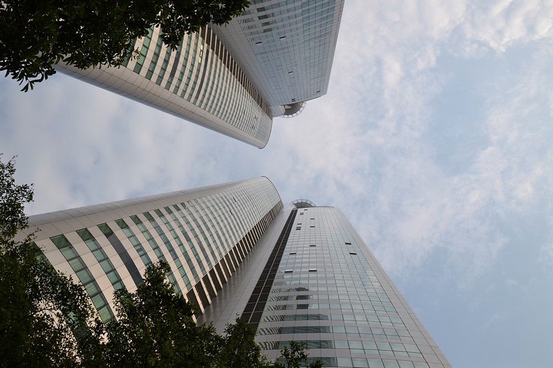 DSC_0242 (Kopiowanie).JPG