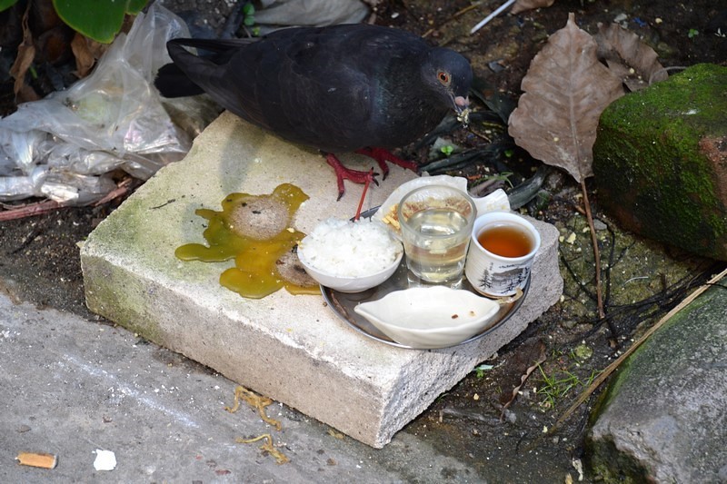 DSC_0245 (Kopiowanie).JPG