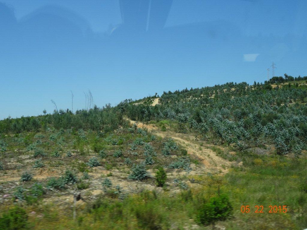 Podbój Iberii cz. I 1760.jpg