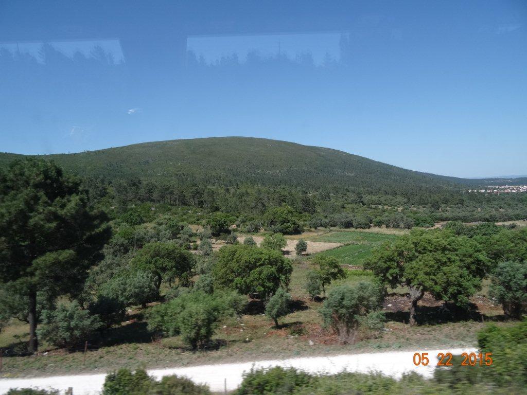 Podbój Iberii cz. I 1765.jpg