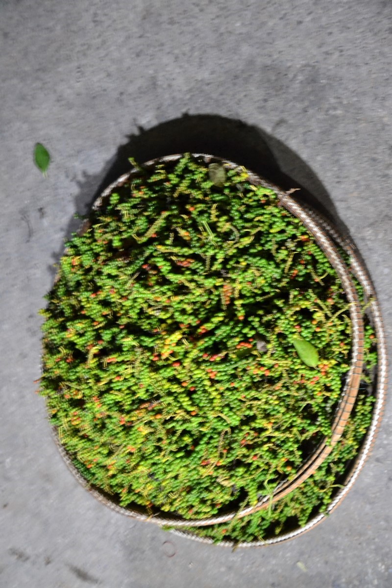 DSC_0397 (Kopiowanie).JPG