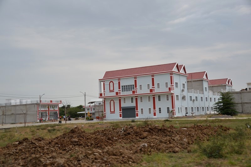 DSC_0446 (Kopiowanie).JPG