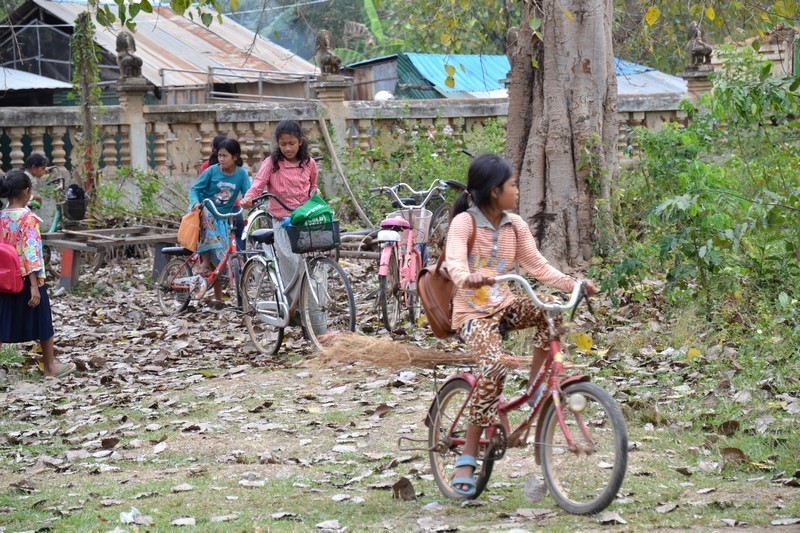 DSC_0488 (Kopiowanie) — kopia.JPG