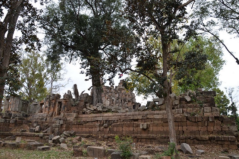 DSC_0521 (Kopiowanie) — kopia.JPG