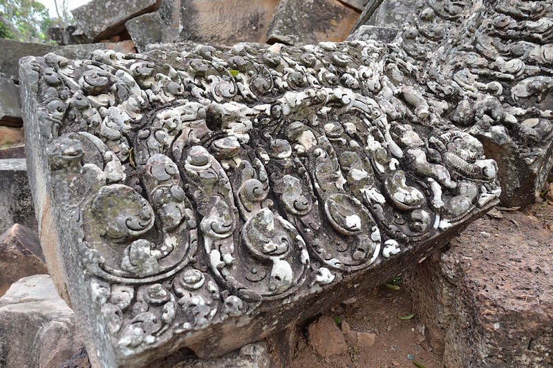 DSC_0529 (Kopiowanie) — kopia.JPG