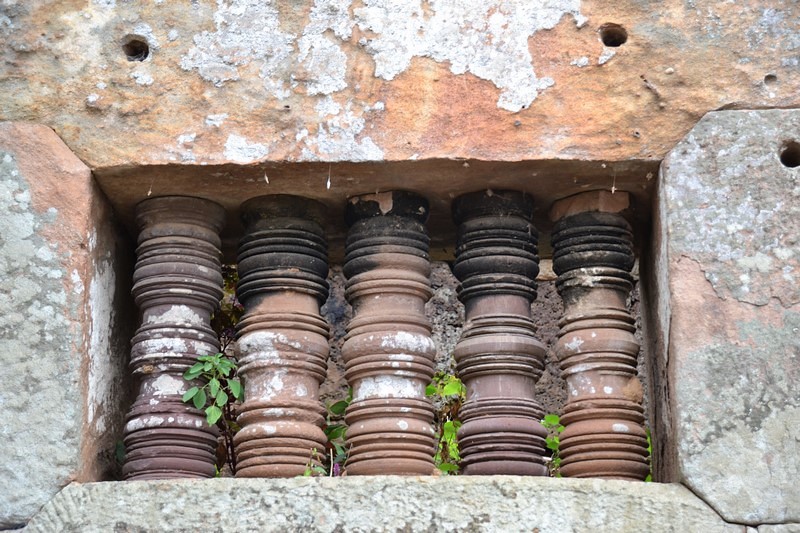 DSC_0549 (Kopiowanie) — kopia.JPG