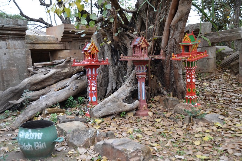 DSC_0551 (Kopiowanie) — kopia.JPG