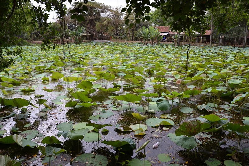 DSC_0554 (Kopiowanie) — kopia.JPG