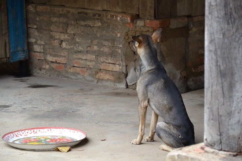 DSC_0572 (Kopiowanie).JPG