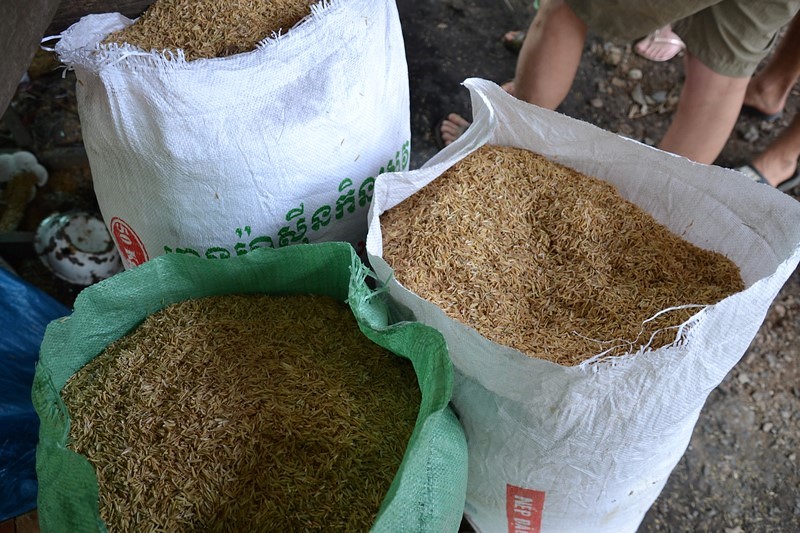 DSC_0631 (Kopiowanie).JPG