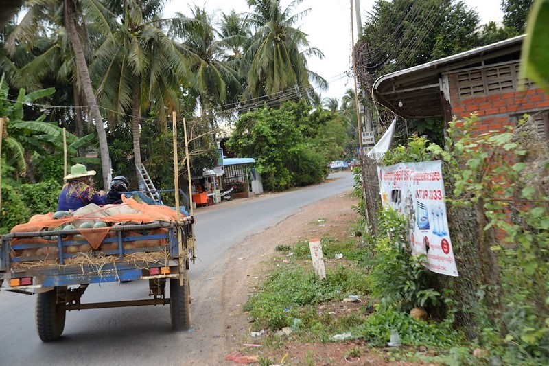 DSC_0661 (Kopiowanie).JPG