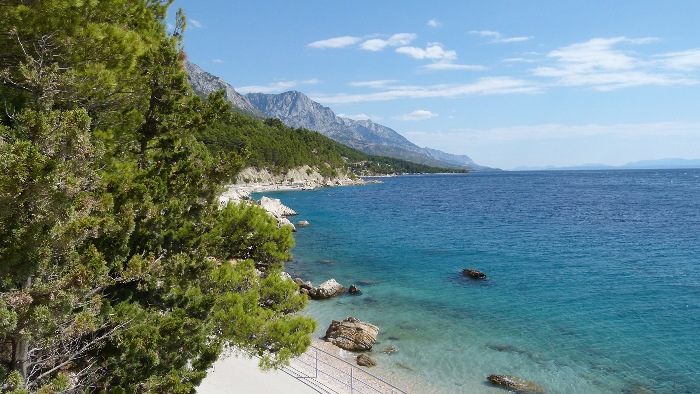 3. Widok ze schodów przy zejściu z domku..jpg