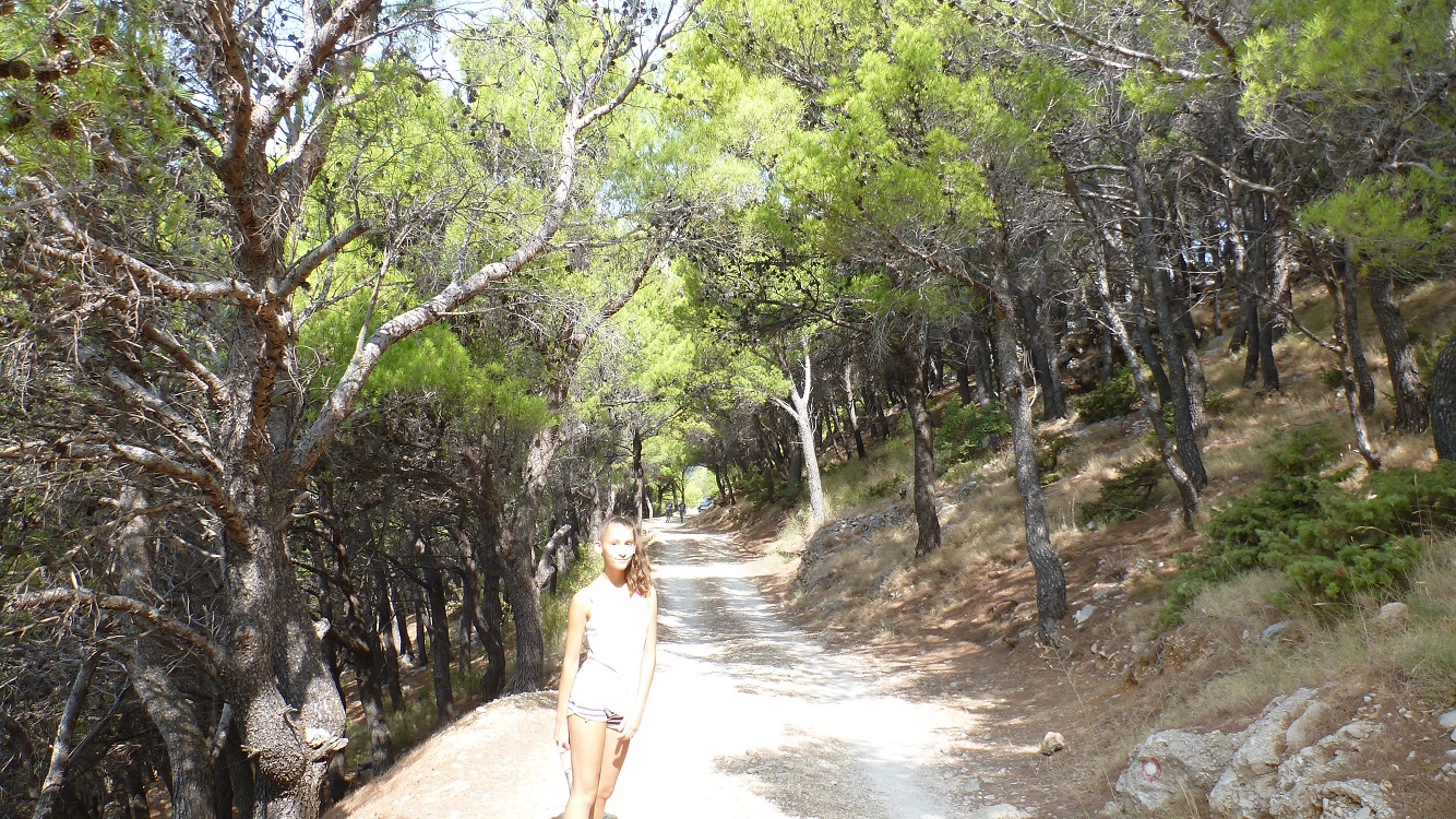 droga w kierunku Vruji.jpg