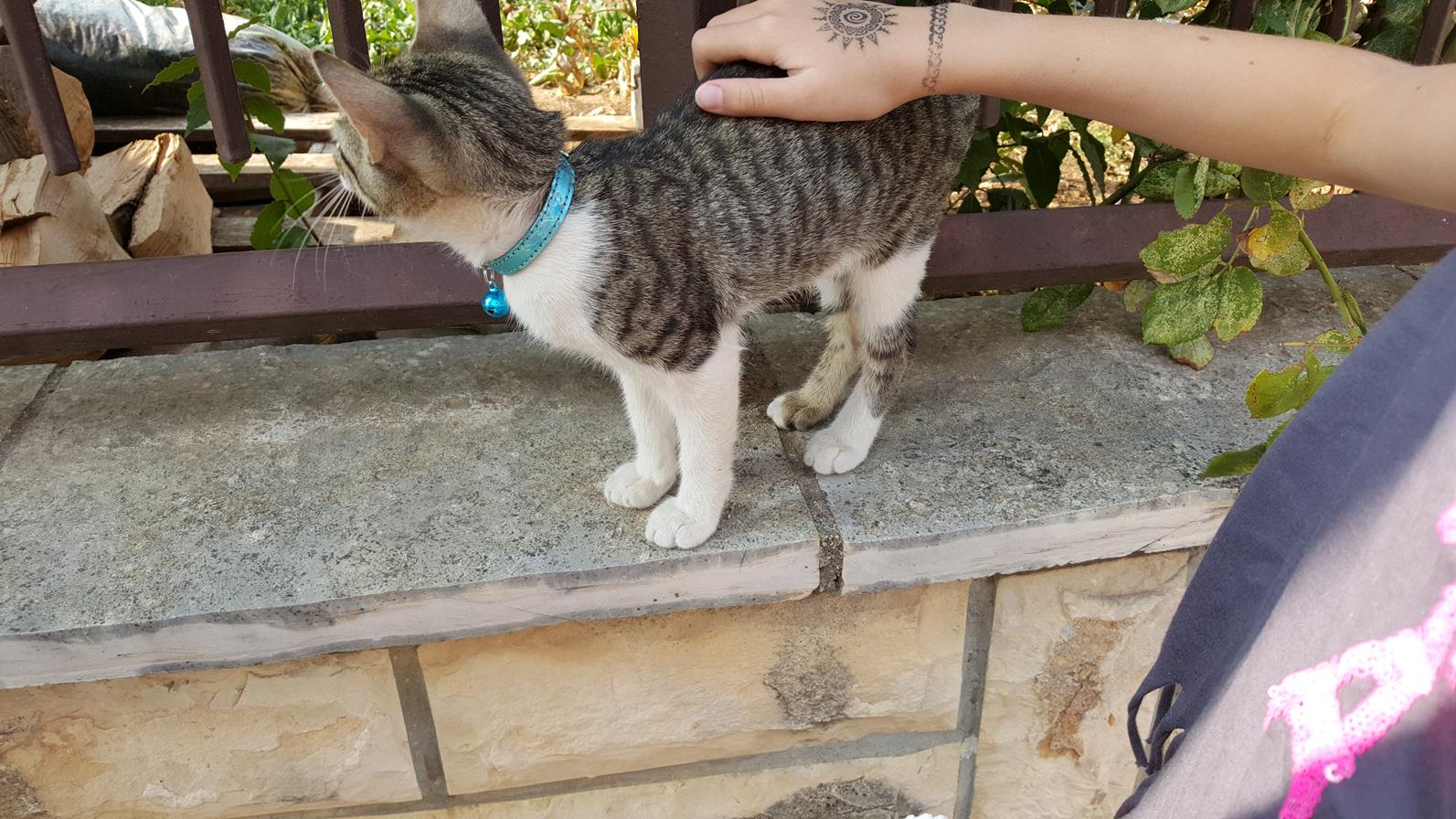 20170820_170137 (Copy).jpg