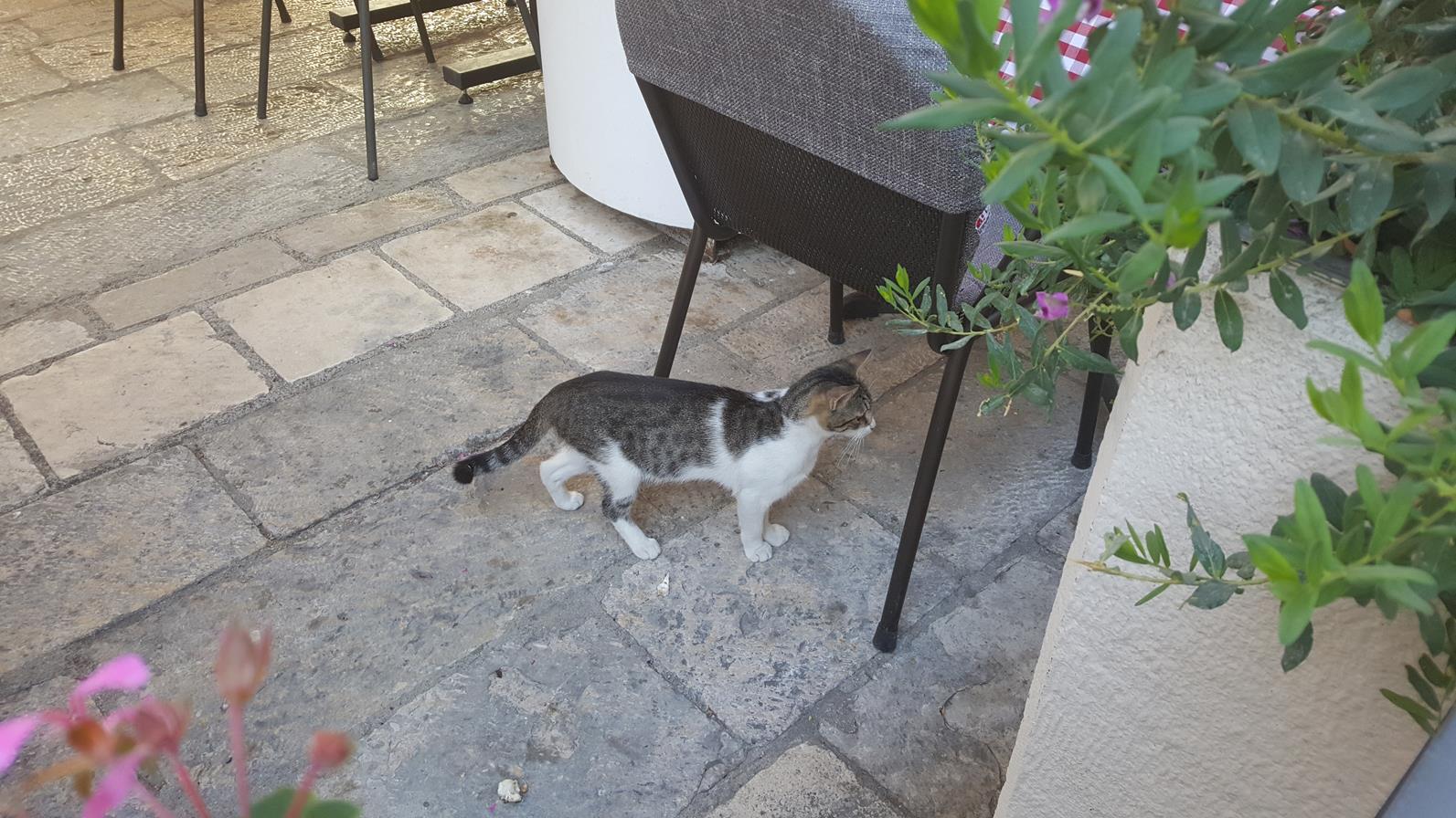 20170822_182000 (Copy) — kopia.jpg