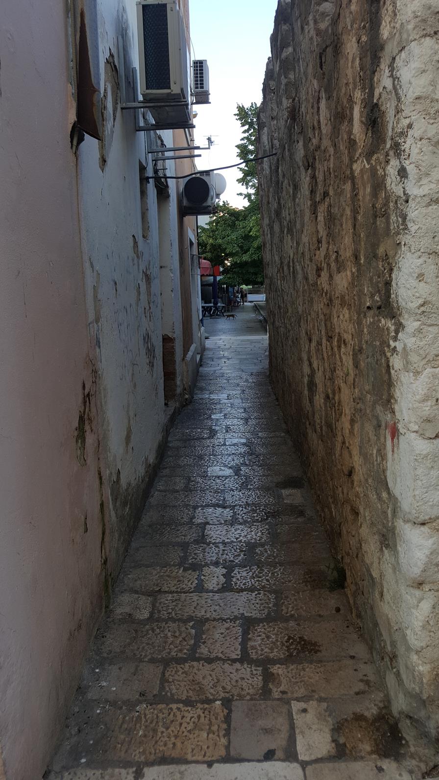 20170822_182424 (Copy) — kopia.jpg